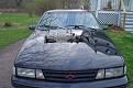 Click image for larger version

Name:	2.8superchargedCav.jpg
Views:	212
Size:	39.1 KB
ID:	372401