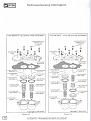 Click image for larger version

Name:	Accumulatorpumps.jpg
Views:	147
Size:	275.0 KB
ID:	373151