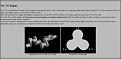 Click image for larger version

Name:	v6enginetheory.jpg
Views:	205
Size:	69.0 KB
ID:	373799